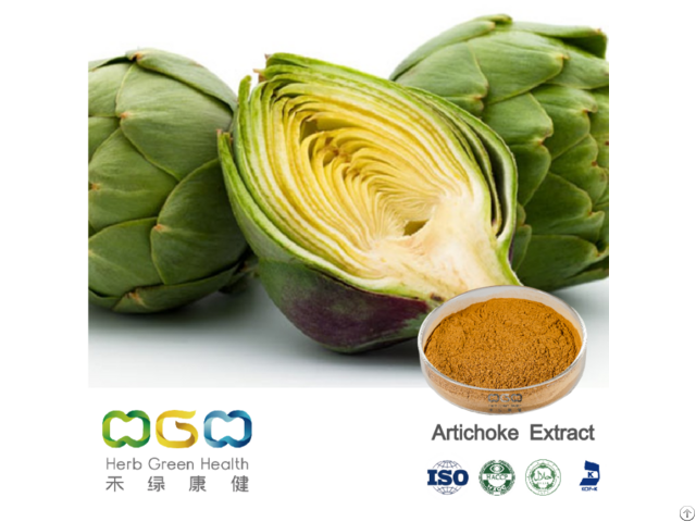 Artichoke Extract