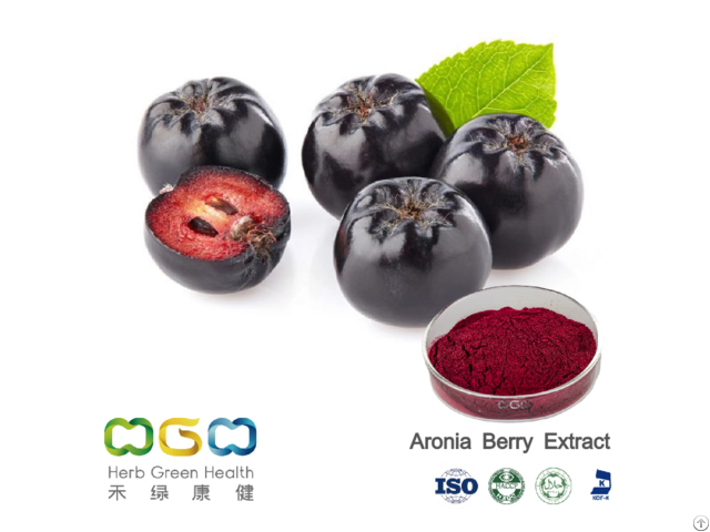 Aronia Berry Extract