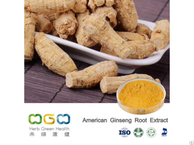 American Ginseng Root Extract