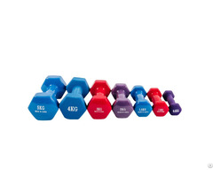 Fixed Weight Dumbbell From Delfin Sports