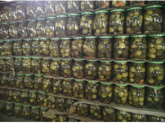 High Quality Pickled Cucumber Origin Vietnam