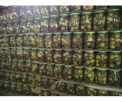 High Quality Pickled Cucumber Origin Vietnam