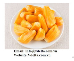 Frozen Jackfruit High Quality From Vietnam Best Price