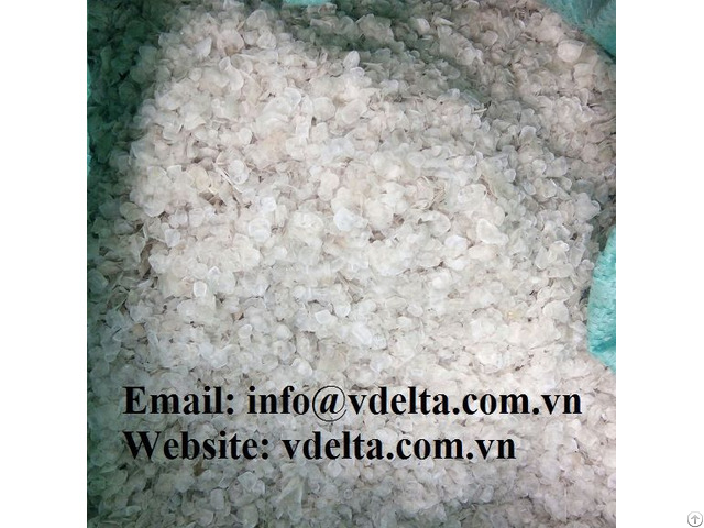 Bigh Promotion Fish Scales Used For Collagen Extracting From Vietnam