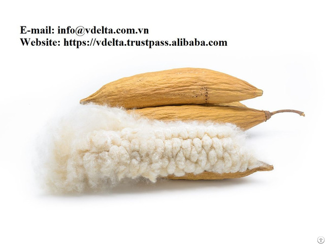 100% Natural Raw Kapok Fiber Made In Vietnam