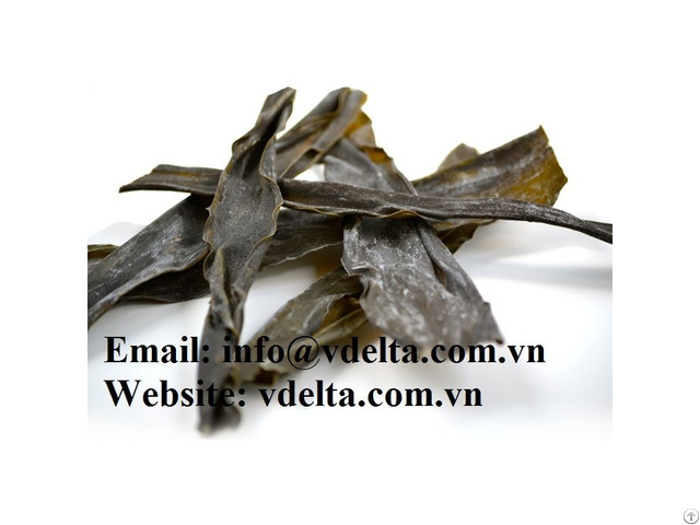 Dried Dashi Kombu Kelp