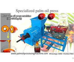 Small Scale Palm Oil Pressing Machine