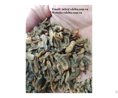 Animal Feed Products From Vietnam Whole Dried Black Soldier Fly Insect