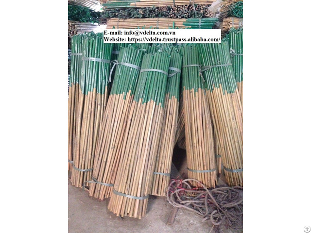 Big Deal Bamboo Stock Support Nursery From Vietnam