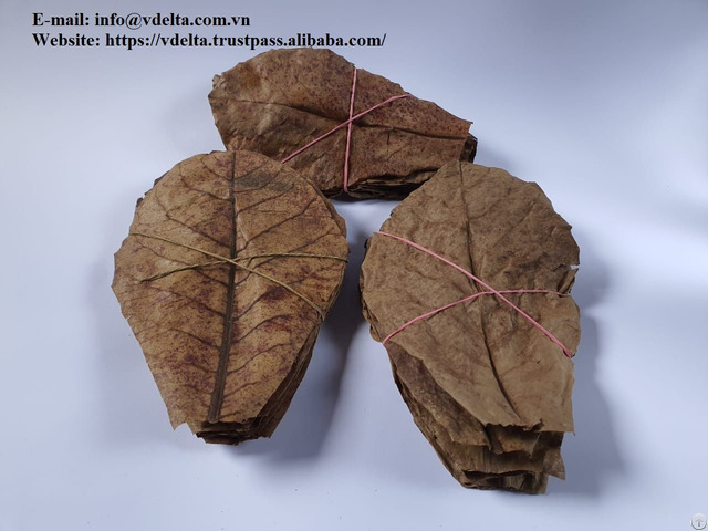 Almond Dried Leaves