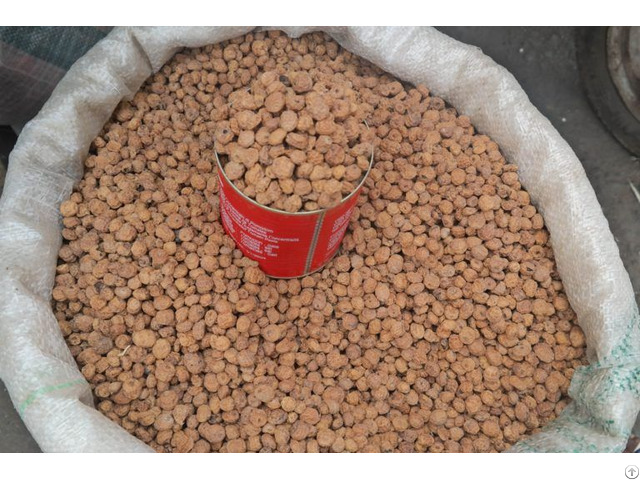 Dry Tiger Nuts