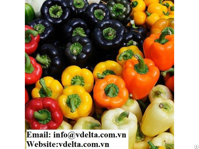 Bell Sweet Pepper With High Quality And Best Price