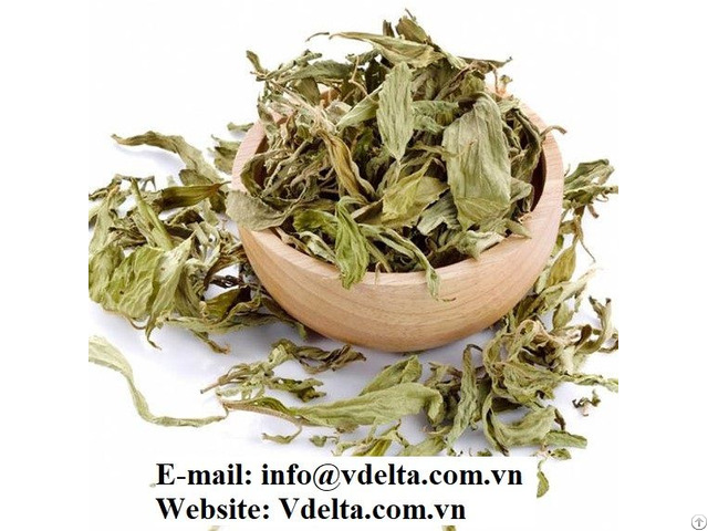 Natural Dried Stevia Rebaudiana Leaf