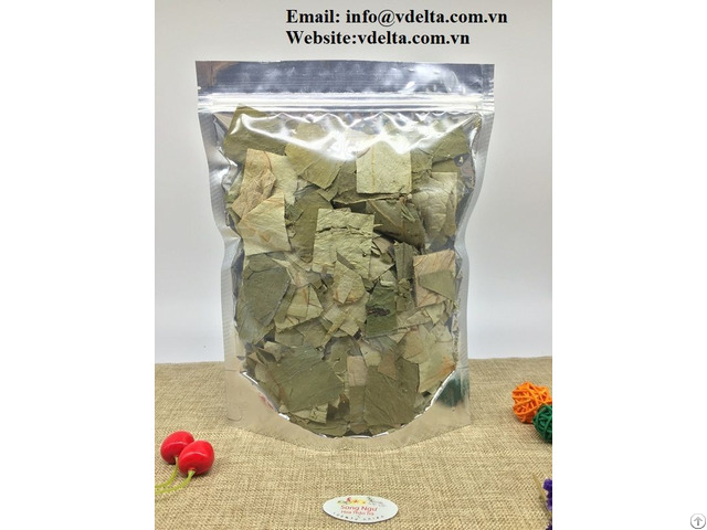 Dried Fresh Lotus Leaf Herbal Extract