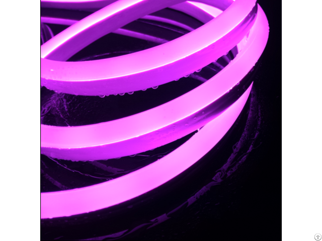 Domed Led Neon Flex