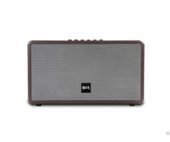 Bluetooth Live Speaker Dual Portable For Indoor Party