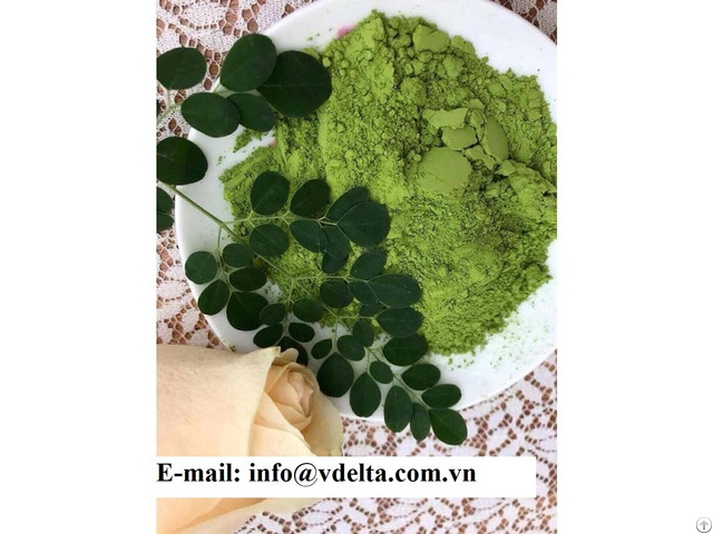 Moringa Leaves Powder The Best Price In Vietnam
