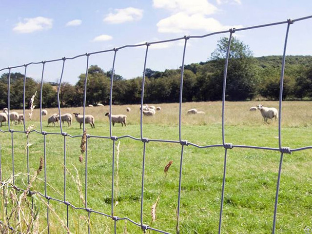 Linchuan Grassland Fence