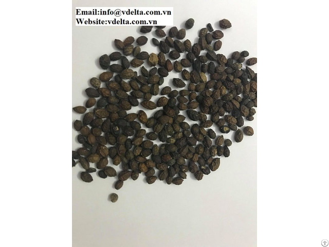 100% Natural Dried Papaya Seed From Vietnam