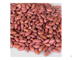 Peas Chickpeas Lentils Kidney Beans