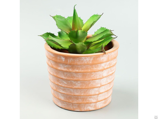 Creative Succulents Concrete Flower Pots Terracotta Cement Planter Wholesale