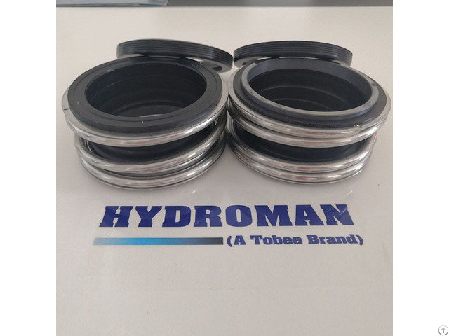 Hydroman Balanced Double Mechanical Seal Arrangement