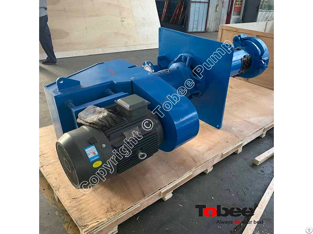 Tobee® 100rv Sp Cantilever Vertical Slurry Pump