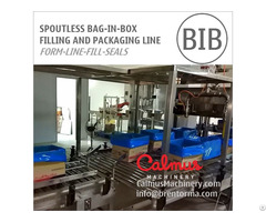 Spoutless Open Top Bag In Box Filling And Packaging Line