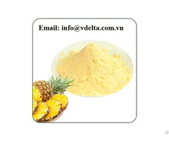 Organic Pineapple Juice Powder Bulk Supplier