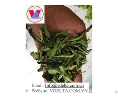 We Have High Quality Dried Lime Leaves