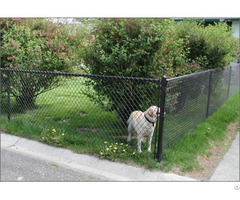 Chain Link Pet Mesh Panels For Dog Run Fencing And Kennels