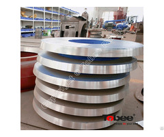 Tobee® 200sv Sp Vertical Slurry Pump Wear Parts Frame Plate Liner Inserts Sp20041a05