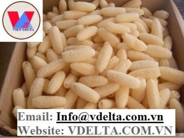 100% Natural Raw Loofah Sponge Vietnam