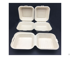 Biodegradable Tableware Food Packaging Lunch Box