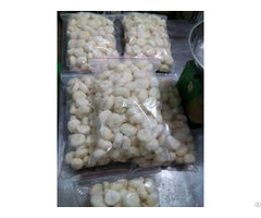 Frozen Water Chestnut With High Quality From Vietnam