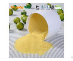 Lime Powder For Juice And Drinks Seasoning