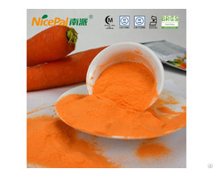 Carrot Powder For Food And Beverage