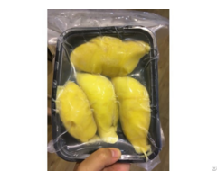 Frozen Durian With High Quality From Vietnam