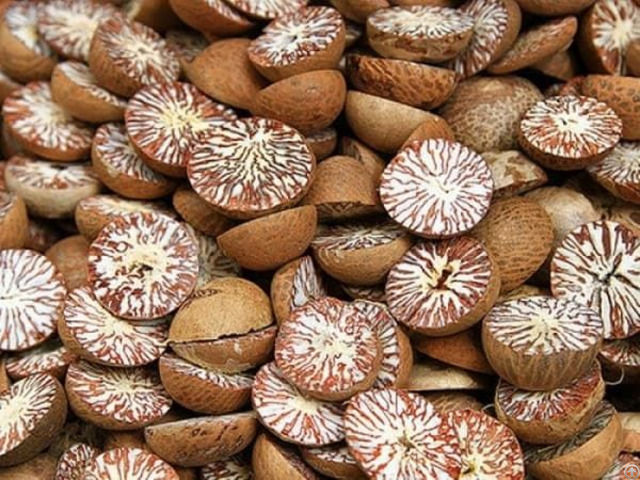 Natural Dried Betel Nut With High Quality From Vietnam