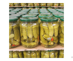 Best Price Canned Cucumber From Vietnam