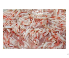 Salted Baby Shrimp With High Quality From Vietnam