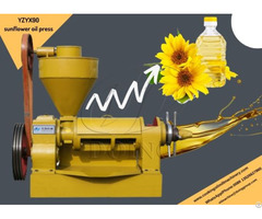 Factory Direct Price Superior Performance Sunflower Oil Production Line Hot Sale