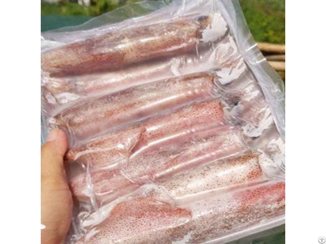 Natural Frozen Whole Round Squid With High Quality From Vietnam