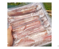 Natural Frozen Whole Round Squid With High Quality From Vietnam