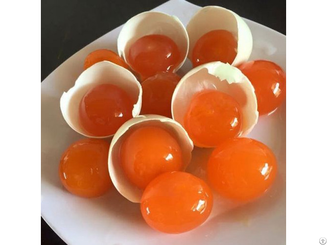 Best Price Salted Duck Egg Yolk With High Quality From Vietnam