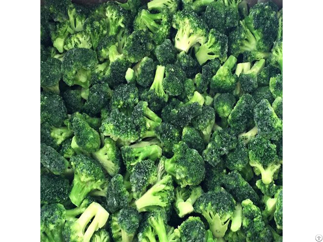 Organic Frozen Broccoli With High Quality From Viet Nam