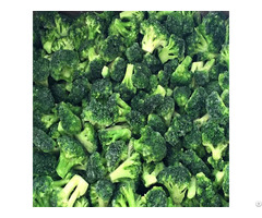 Organic Frozen Broccoli With High Quality From Viet Nam