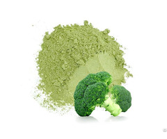 Best Price Pure Broccoli Power With High Quality From Vietnam