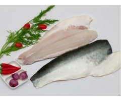 Pangasius Fillet Skin On With High Quality From Vietnam