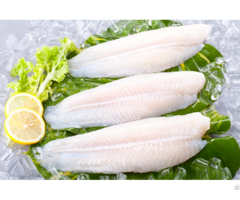 Pangasius Fillet Well Trimmed With High Quality From Vietnam